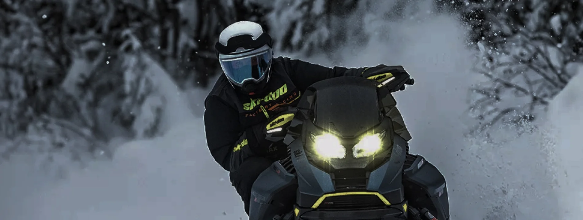 Снегоходы Ski-Doo Expedition
